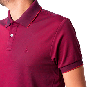 Polo de hombre 7731140100D1VINO